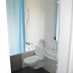 Hirschen 3*