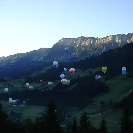 Hotel Hirschen