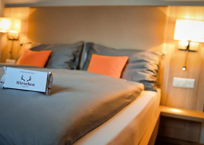 Hirschen Hotel 3*